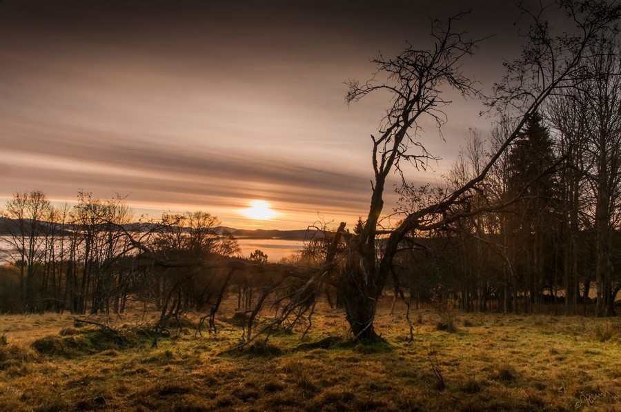 Kamenná Hlava Foto Jiří Plachý